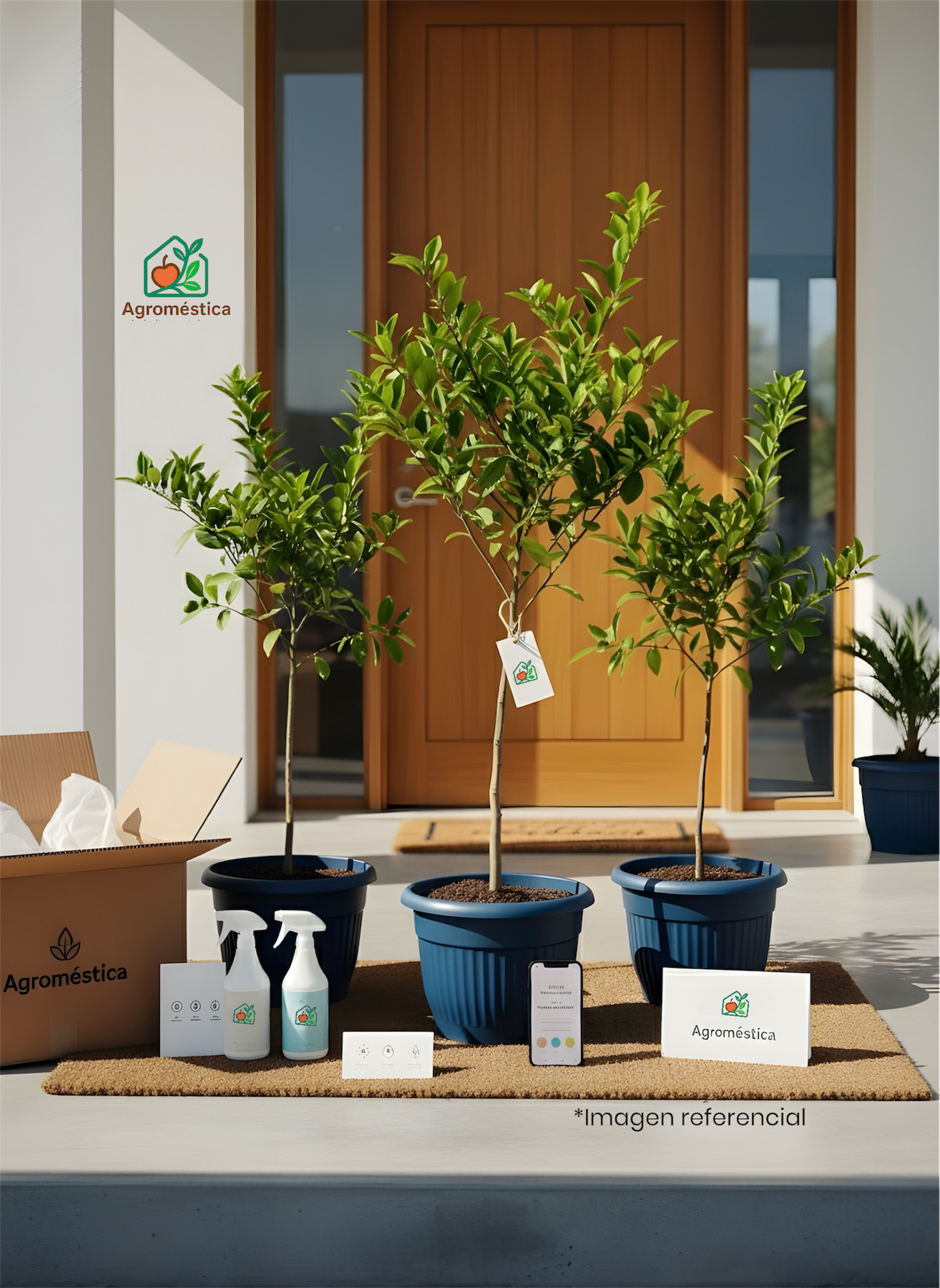 Pack Frutales Premium